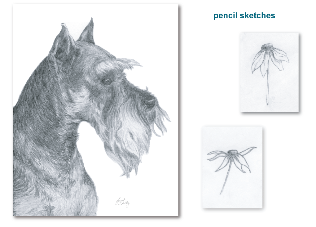 Rover Graphics hand drawn illustration