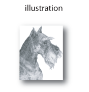 Rover Graphics illustration page